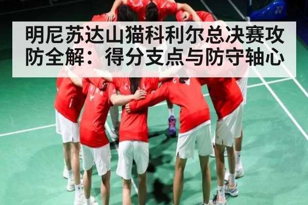 明尼苏达山猫科利尔总决赛攻防全解：得分支点与防守轴心 | hth